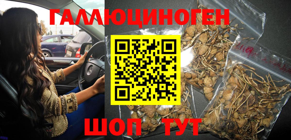 Псилоцибиновые грибы ЛСД  Псилоцибиновые грибы мухоморы  Псков  Вход с VPN 